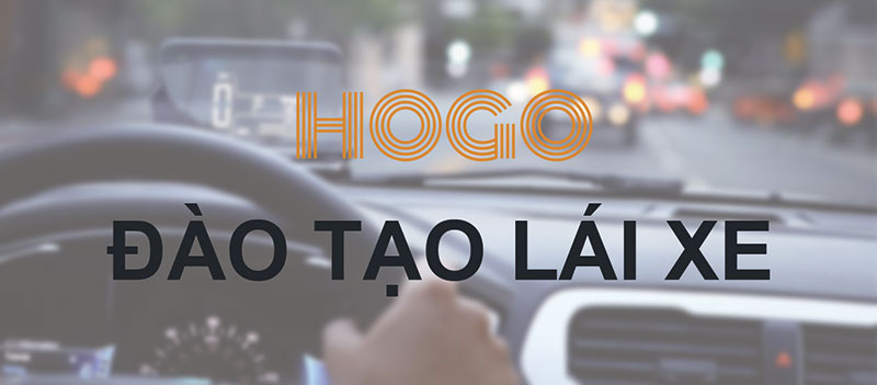 Hogo đào tạo lái xe